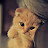 @user-fi4en3kx6p