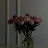 @user-xx2pf3ye5f