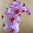 @user-kl6cq1ki4i