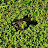 @user-qq6wx8mg5q