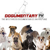 What could Dogumentary TV buy with $129.1 thousand?