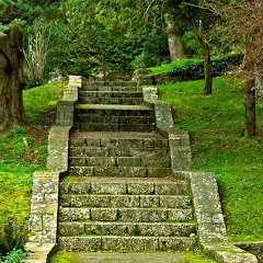 Thumbnail of related channel