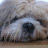 @StephenButlerOne Avatar