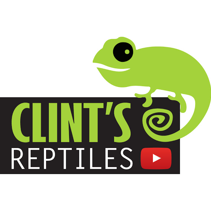 Clint's Reptiles Net Worth & Earnings (2024)
