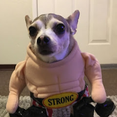 ProjectSupreme Net Worth, Income & Earnings (2024)