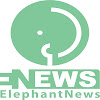 What could elephantnews buy with $1.33 million?
