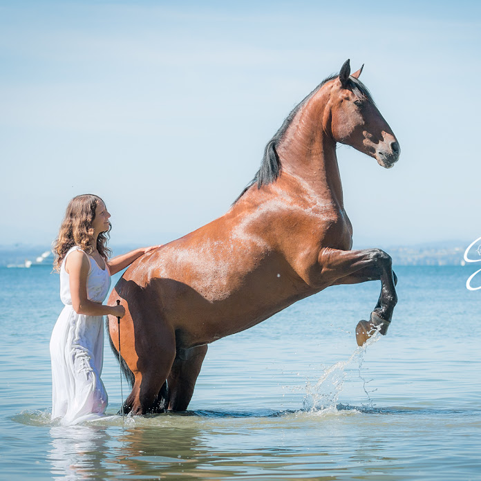 NativeHorse Net Worth & Earnings (2026)