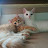 @user-qy2hx8vo2j
