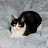 @user-qq3rz4su5p