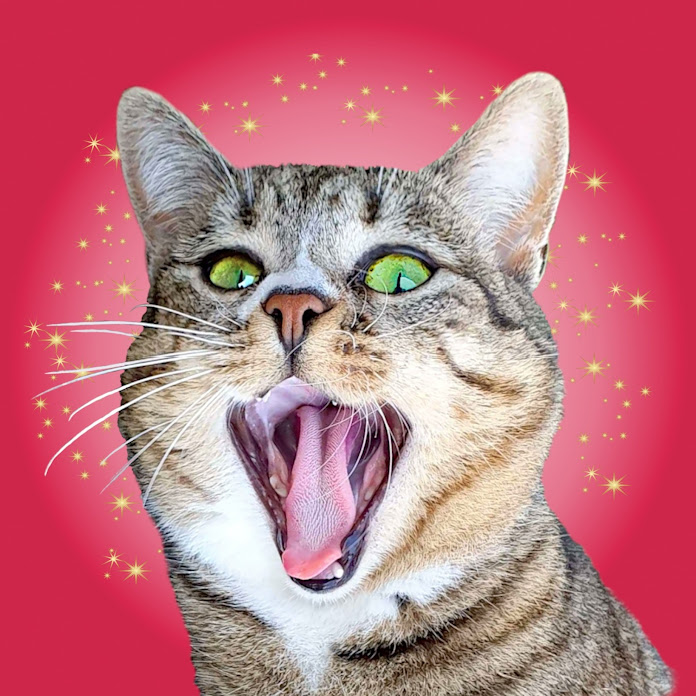 Bebe Crazycat Net Worth & Earnings (2026)