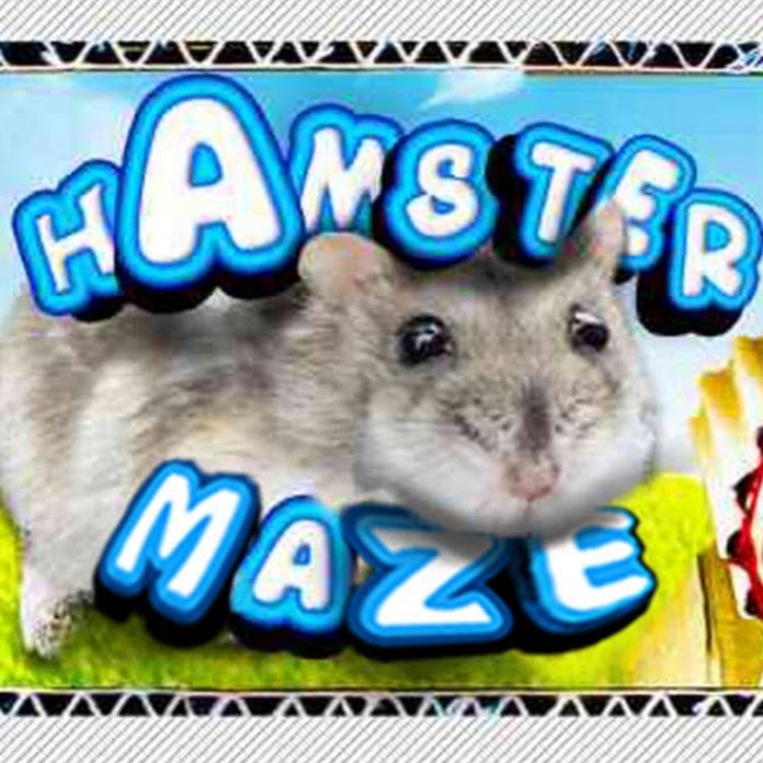 DIY Hamster Maze Net Worth & Earnings (2024)