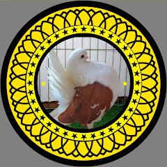 Thumbnail of related channel