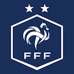 Fédération Française de Football Net Worth