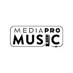 MediaPro Music Net Worth