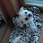 @user-xi9cw6ef8l