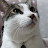 @user-wo1lh3xx5j