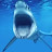 @shark7165