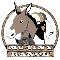 Thumbnail of related channel