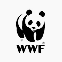 Världsnaturfonden WWF net worth