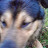 @user-sw9ws6vn9s