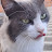 @schneider8098 Avatar