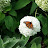 @MelodyTingHandcraft Avatar