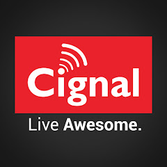 Cignal TV net worth