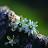 @user-xt6ov2fi5h