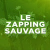 What could Zapping Sauvage buy with $241.84 thousand?