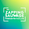 What could Zapping Sauvage buy with $241.8 thousand?