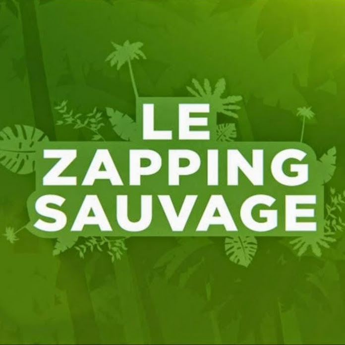 Zapping Sauvage Net Worth & Earnings (2024)