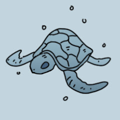 Blue Turtle net worth