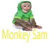 What could Monkey sam buy with $100 thousand?