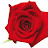 @user-lu1fe2pe8g