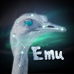Emu Plan Avatar