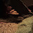 @tituspostmus6769 Avatar