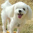 @user-qp8fx2hk5t