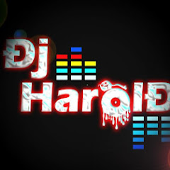 Dj Harold Music net worth