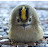 @wintergoldhahnchen2643 Avatar