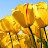 @user-cp6us5mp7e