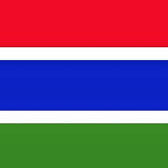 VetClinicGambia Net Worth & Earnings (2026)