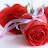 @azharuddin7847