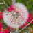 @user-ds6xe2ht4p