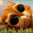 @user-oe2vv9hw7n