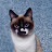@user-ei2ui4sv4i