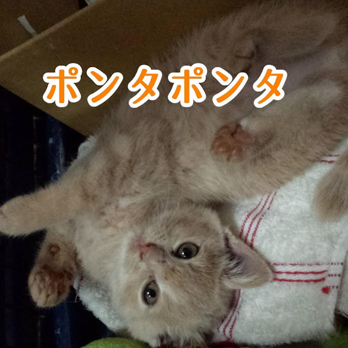 ポンタポンタ Net Worth & Earnings (2026)