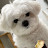 @user-iw8uv3gu4n