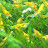 @theshrimpscene4386 Avatar