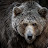 @grizzZlyBear Avatar