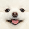 What could 홍설 HONG SNOW buy with $393.5 thousand?